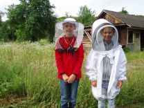 Bienen H.Huber (12)-web.jpg