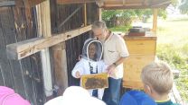 Bienen (14)-web.jpg