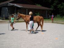 Pferd und Musik 16-17 (20)-web.jpg