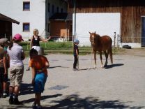 Pferd und Musik 16-17 (15)-web.jpg